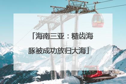 海南三亚：糙齿海豚被成功放归大海