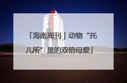 海南周刊｜动物“托儿所”里的双倍母爱