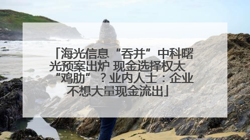 海光信息“吞并”中科曙光预案出炉 现金选择权太“鸡肋”？业内人士：企业不想大量现金流出