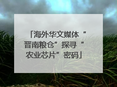 海外华文媒体“晋南粮仓”探寻“农业芯片”密码