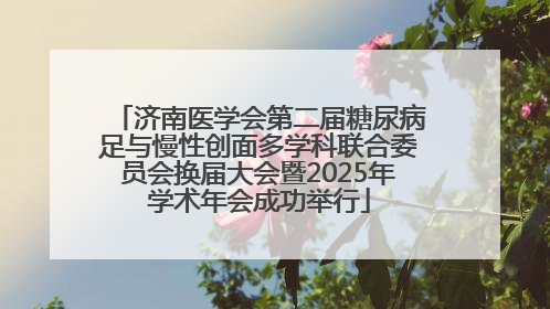 济南医学会第二届糖尿病足与慢性创面多学科联合委员会换届大会暨2025年学术年会成功举行