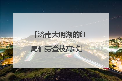济南大明湖的红尾伯劳登枝高歌