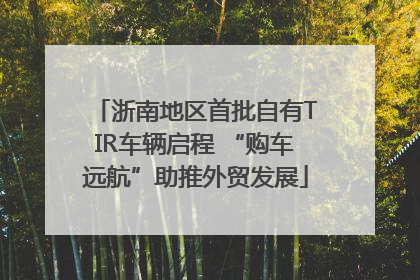 浙南地区首批自有TIR车辆启程 “购车远航”助推外贸发展