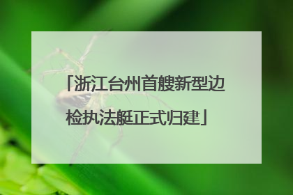 浙江台州首艘新型边检执法艇正式归建