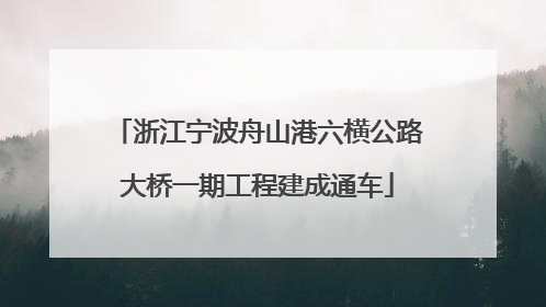 浙江宁波舟山港六横公路大桥一期工程建成通车