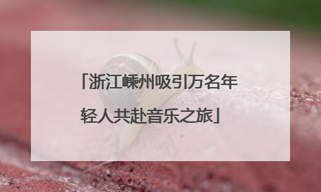 浙江嵊州吸引万名年轻人共赴音乐之旅