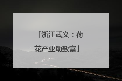 浙江武义：荷花产业助致富