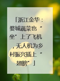 浙江金华：婺城蔬菜也“坐”上了飞机，无人机为乡村振兴插上“翅膀”