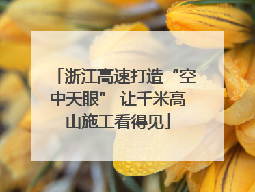 浙江高速打造“空中天眼” 让千米高山施工看得见