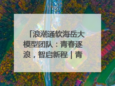 浪潮通软海岳大模型团队：青春逐浪，智启新程｜青春思政课