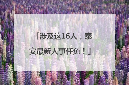 涉及这16人，泰安最新人事任免！