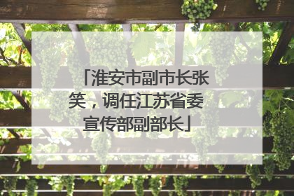 淮安市副市长张笑，调任江苏省委宣传部副部长