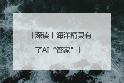 深读丨海洋精灵有了AI“管家”
