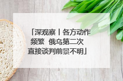 深观察丨各方动作频繁  俄乌第二次直接谈判前景不明