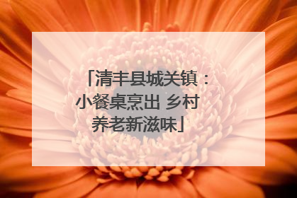 清丰县城关镇：小餐桌烹出 乡村养老新滋味
