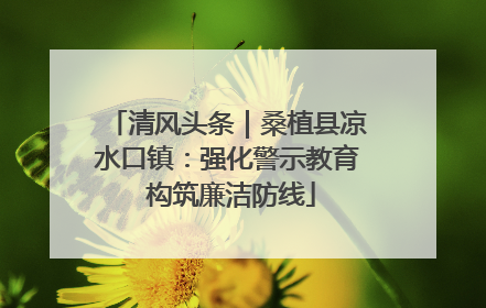 清风头条｜桑植县凉水口镇：强化警示教育 构筑廉洁防线