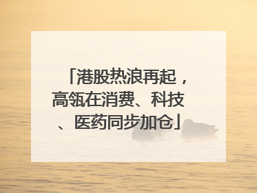 港股热浪再起，高瓴在消费、科技、医药同步加仓