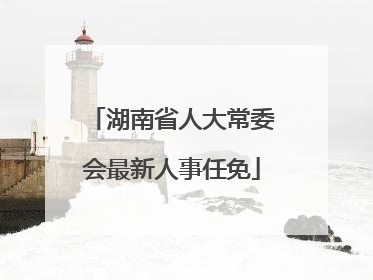 湖南省人大常委会最新人事任免