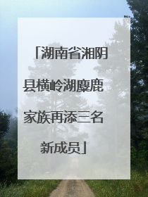 湖南省湘阴县横岭湖麋鹿家族再添三名新成员