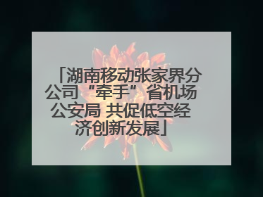 湖南移动张家界分公司“牵手”省机场公安局 共促低空经济创新发展
