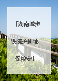湖南城步铁腕护耕地保粮安