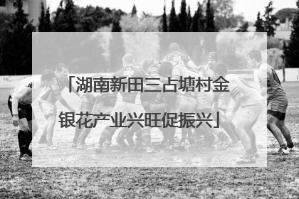 湖南新田三占塘村金银花产业兴旺促振兴