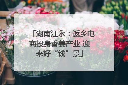 湖南江永：返乡电商投身香姜产业 迎来好“钱”景