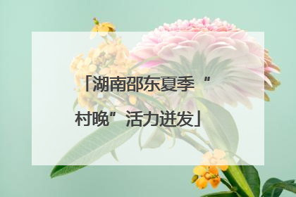 湖南邵东夏季“村晚”活力迸发