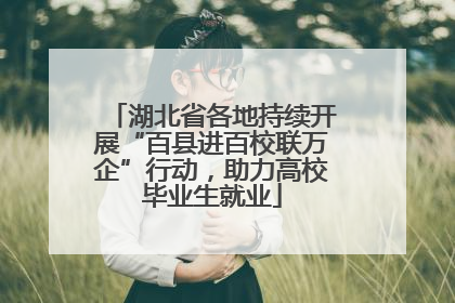 湖北省各地持续开展“百县进百校联万企”行动，助力高校毕业生就业