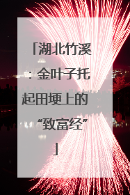 湖北竹溪：金叶子托起田埂上的“致富经”