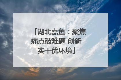 湖北嘉鱼：聚焦痛点破难题 创新实干优环境
