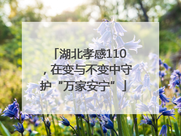 湖北孝感110，在变与不变中守护“万家安宁”