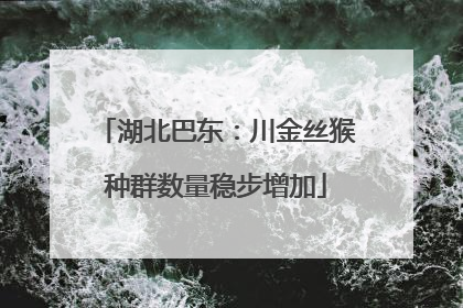 湖北巴东：川金丝猴种群数量稳步增加