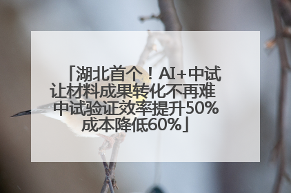 湖北首个！AI+中试让材料成果转化不再难 中试验证效率提升50%成本降低60%