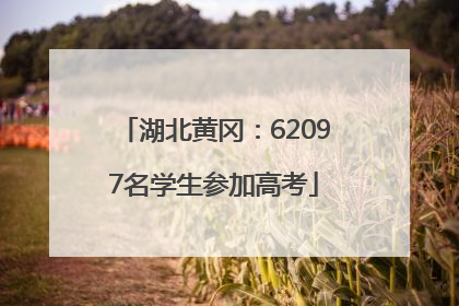 湖北黄冈：62097名学生参加高考