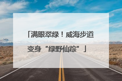 满眼翠绿！威海步道变身“绿野仙踪”