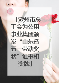 滨州市总工会为公用事业集团颁发“山东省五一劳动奖状”证书和奖牌