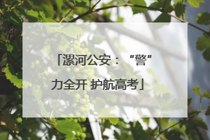 漯河公安：“警”力全开 护航高考