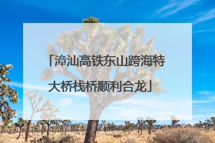 漳汕高铁东山跨海特大桥栈桥顺利合龙