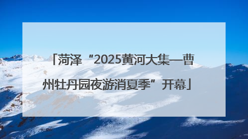 菏泽“2025黄河大集—曹州牡丹园夜游消夏季”开幕