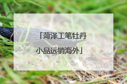 菏泽工笔牡丹小品远销海外