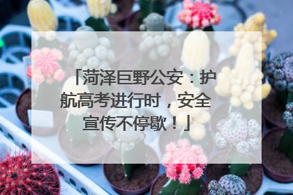 菏泽巨野公安：护航高考进行时，安全宣传不停歇！