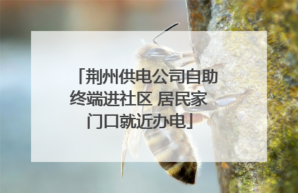 荆州供电公司自助终端进社区 居民家门口就近办电