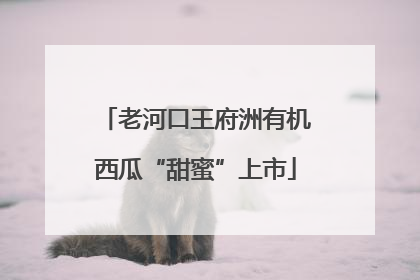 老河口王府洲有机西瓜“甜蜜”上市