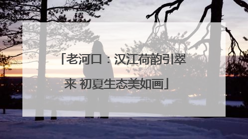 老河口：汉江荷韵引翠来 初夏生态美如画