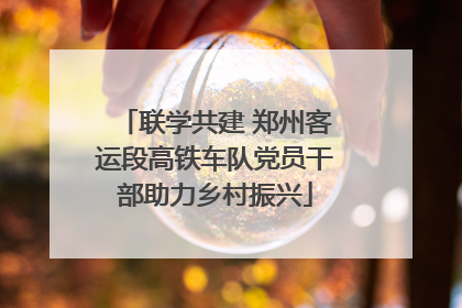 联学共建 郑州客运段高铁车队党员干部助力乡村振兴