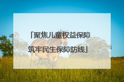 聚焦儿童权益保障 筑牢民生保障防线