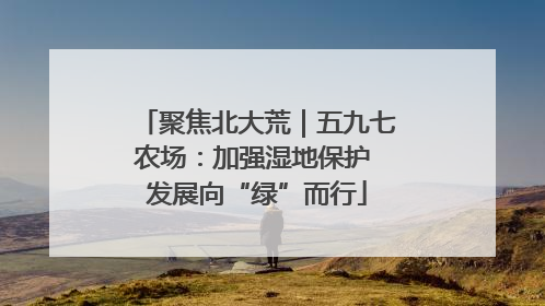 聚焦北大荒｜五九七农场：加强湿地保护 发展向“绿”而行