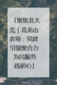 聚焦北大荒｜青龙山农场：党建引领聚合力 为民服务践初心