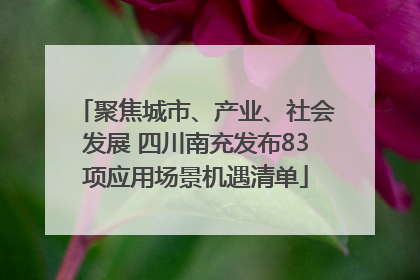 聚焦城市、产业、社会发展 四川南充发布83项应用场景机遇清单
